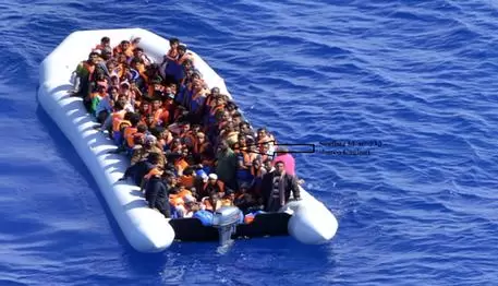 migranti