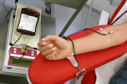 donazione sangue