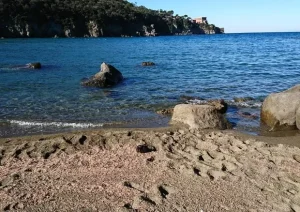 ischia gamberetti