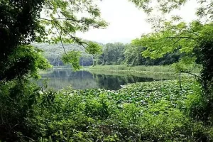 napoli aree naturali