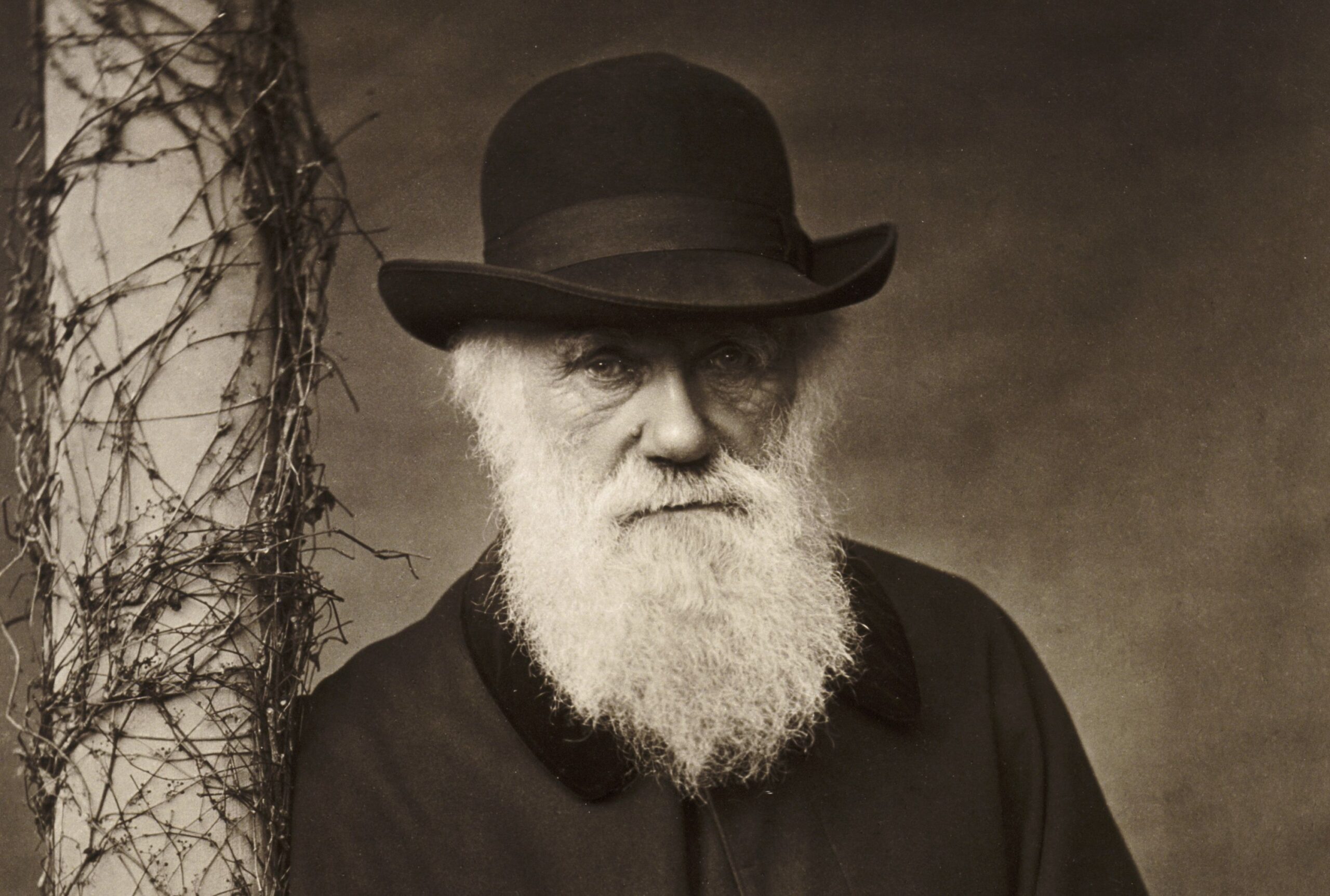 charles-darwin-padre-evoluzionismo-biografia-studi