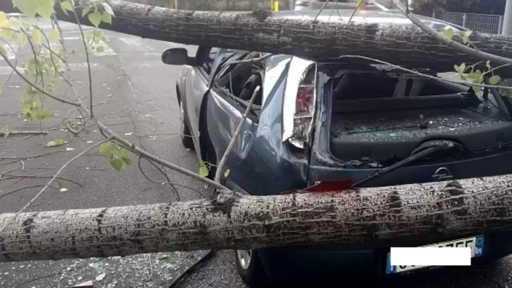 caserta-albero-crolla-auto