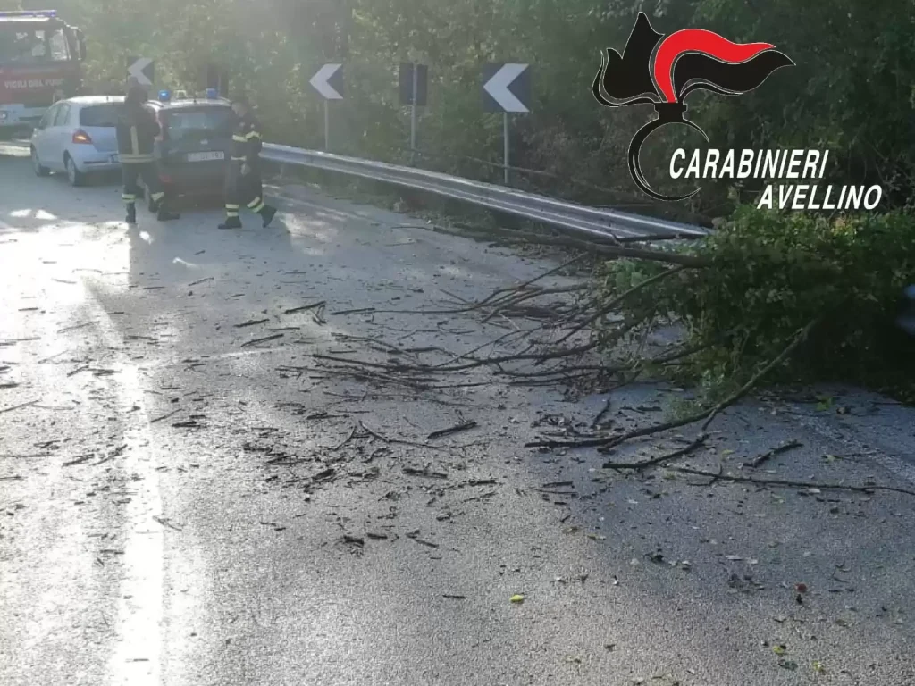 incidente-montemarano-rami-provinciale-colpita-auto