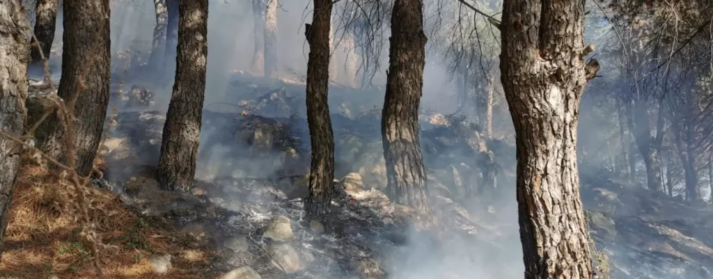 incendio-avella-21-ottobre