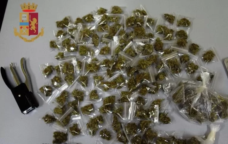 droga-acerra-marijuana-nascosta-casa-arresto