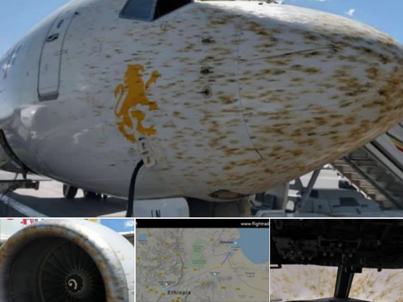 etiopia-locuste-impediscono-atterraggio-aereo