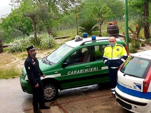 pantera-benevento-ricerche-carabinieri