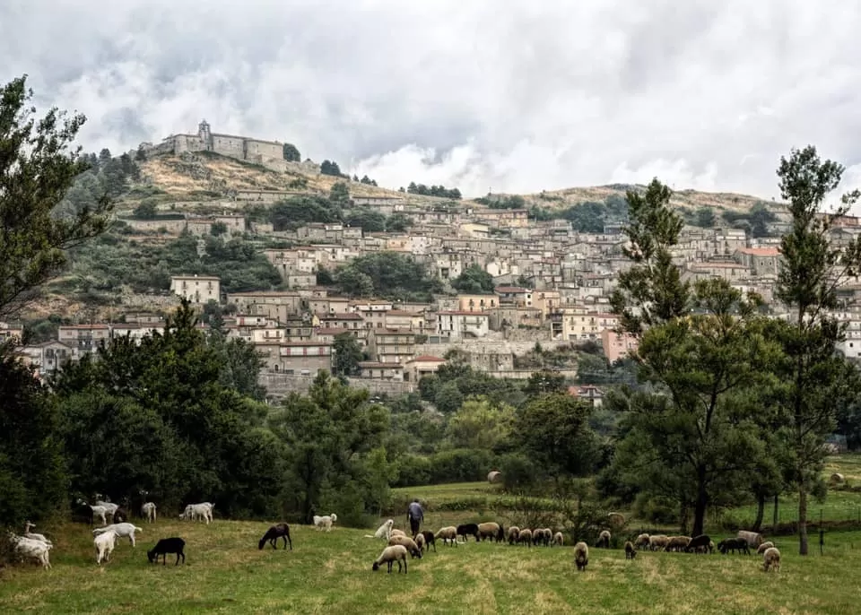 ordinanza-campania-letino-revocata-zona-rossa