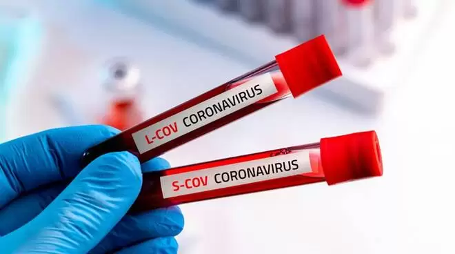 coronavirus-irpinia-due-casi-bollettino-28-agosto