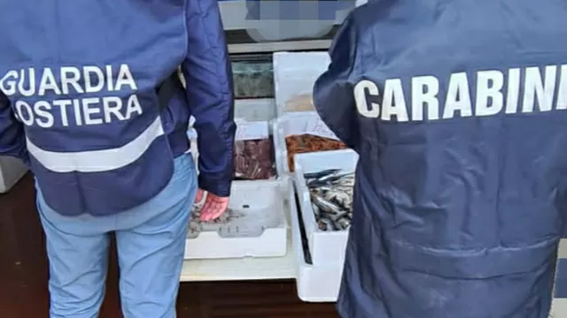 pesce-tracciabilita-sequestri-benevento-22-ottobre