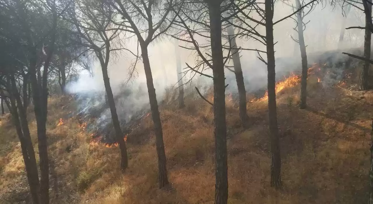 vesuvio oggi