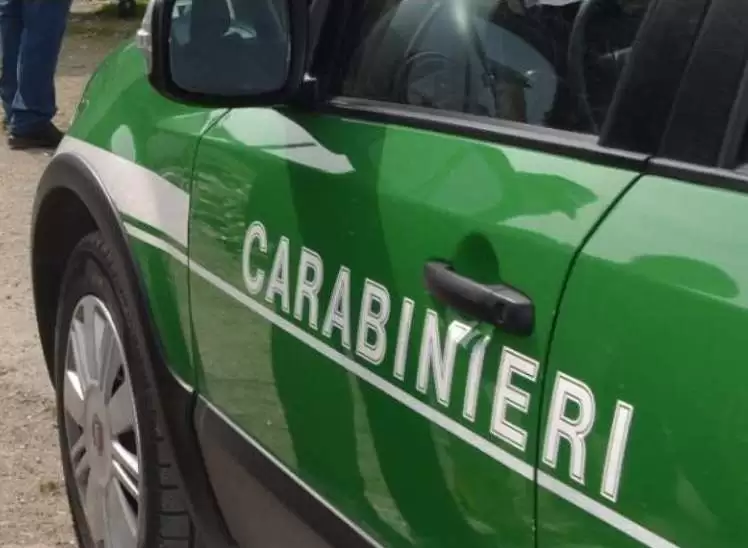 capannone-abusivo-calbore-denunciate-5-persone-10-luglio