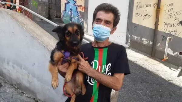 napoli crollo solaio cane