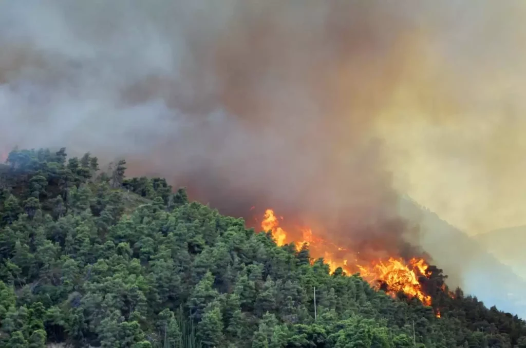 incendio-boschivo-mercogliano-denunciate-due-persone