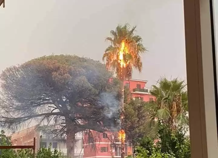 poggiomarino fulmine albero