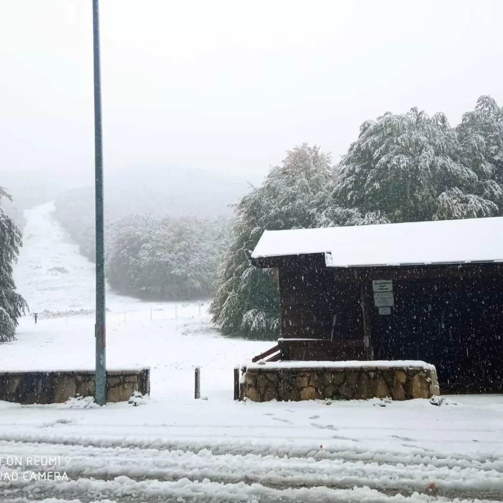 neve campania oggi