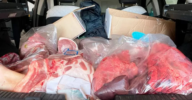 carne pessime condizioni igienico-sanitarie 19 gennaio