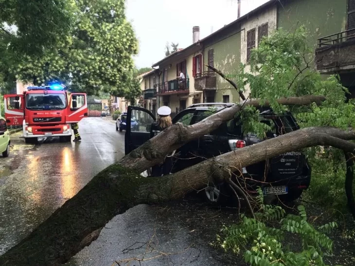 quadrelle albero abbattuto finisce auto 12 gennaio