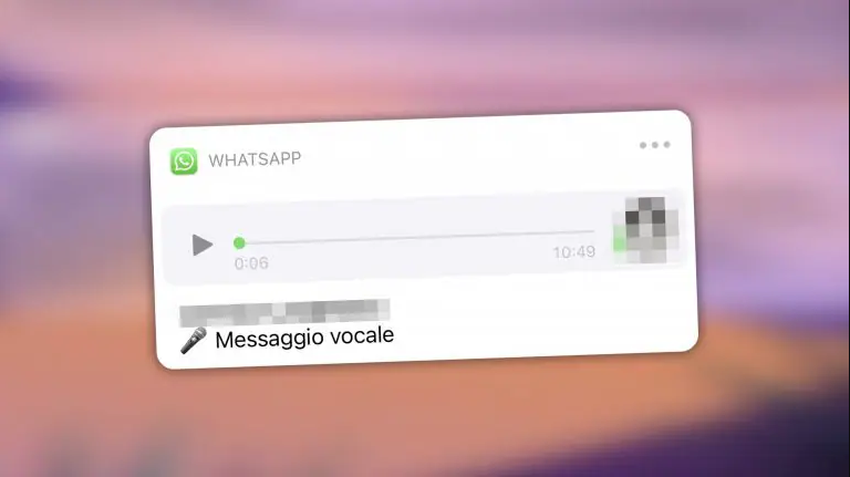 WhatsApp audio chat 18 febbraio