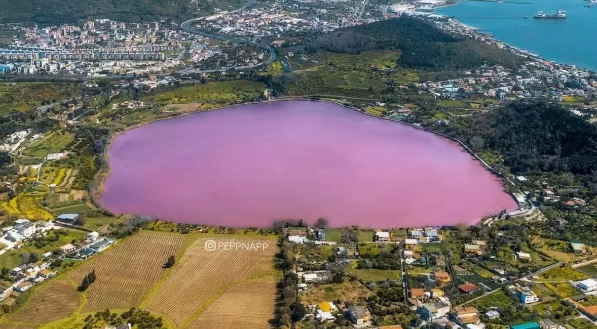 perche-largo-averno-rosa-alghe