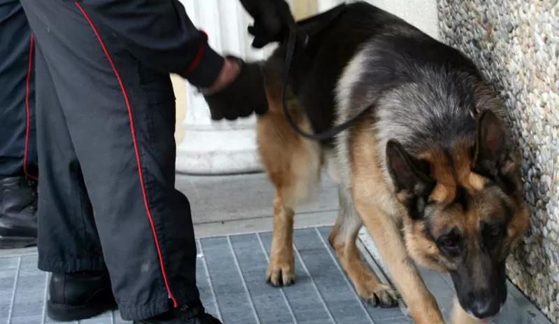 anacapri droga scuola 14 aprile