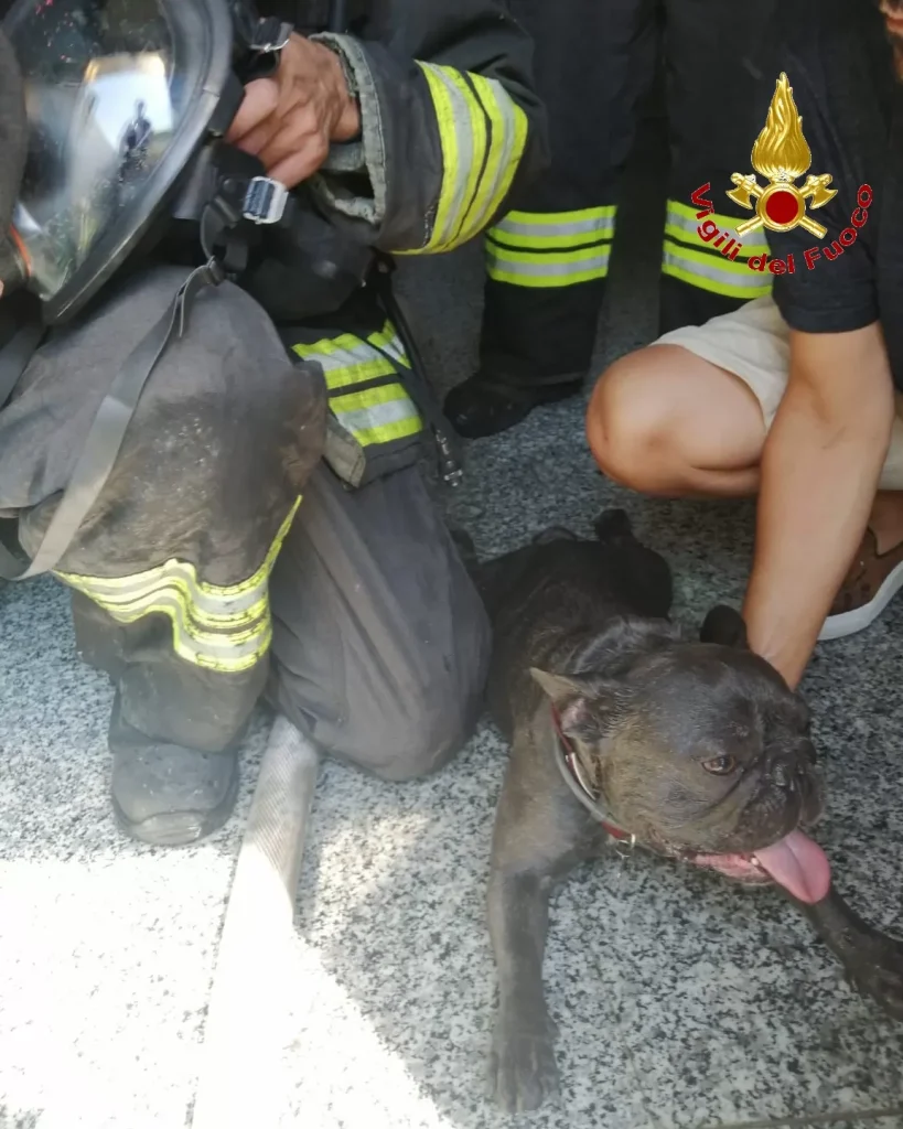 casapulla incendio mansarda