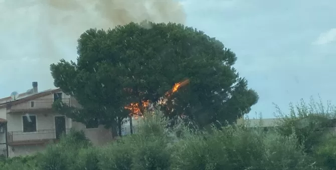 napoli incendio albero compleanno