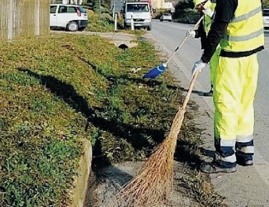 reddito-cittadinanza-avellino-lavoro-percettori