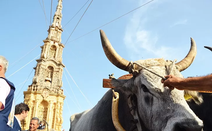 mirabella eclano buoi obelisco