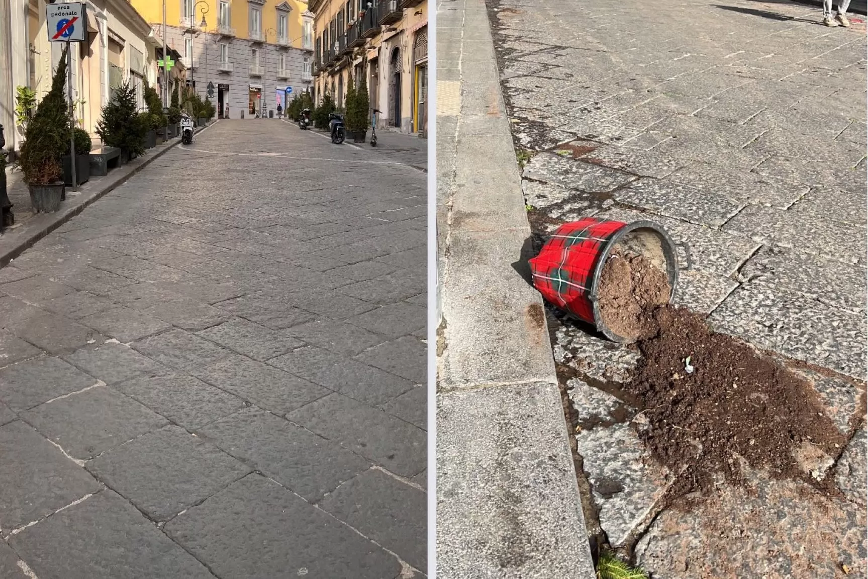 napoli-rubati-alberi-natale-chiaia