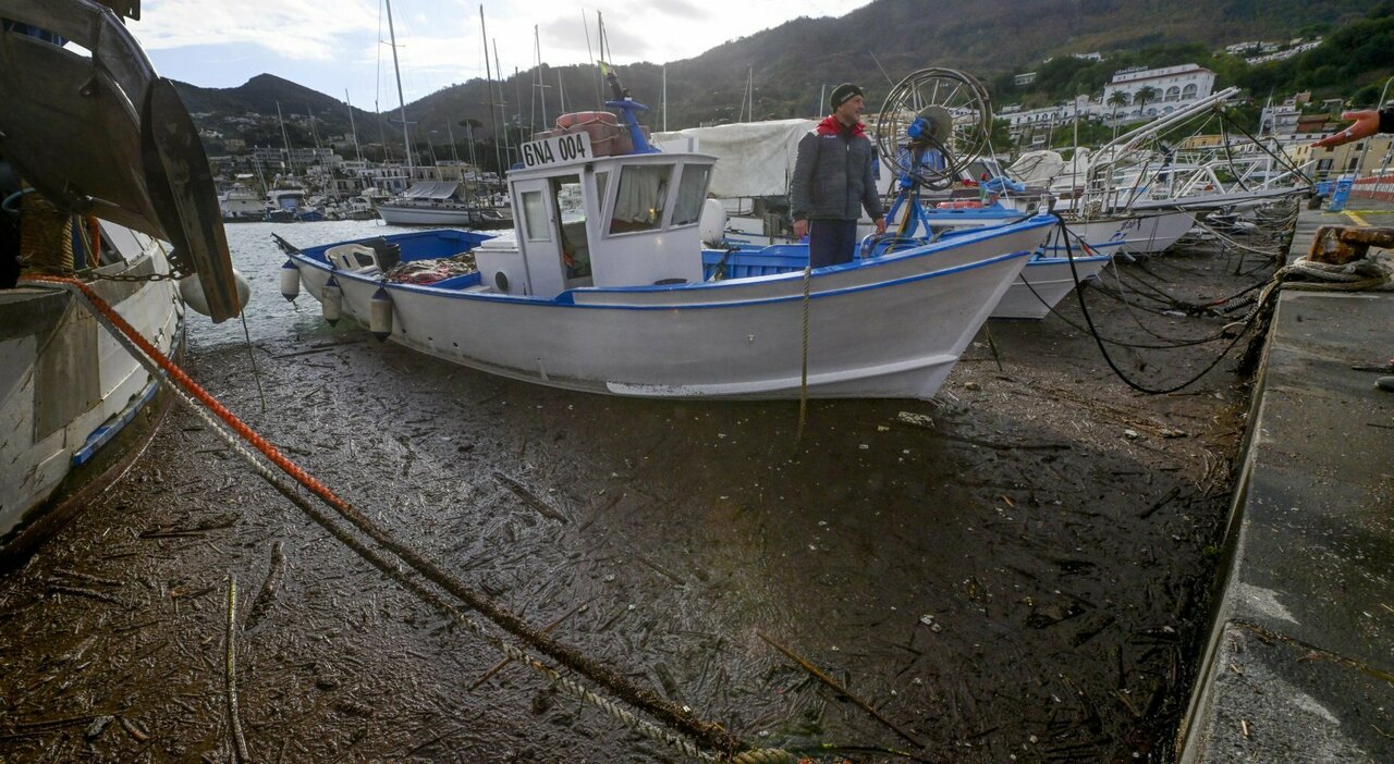 ischia bombe fosforo porto