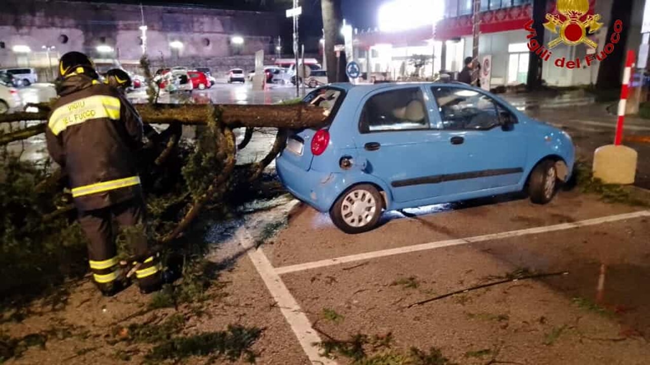 maltempo crolla albero