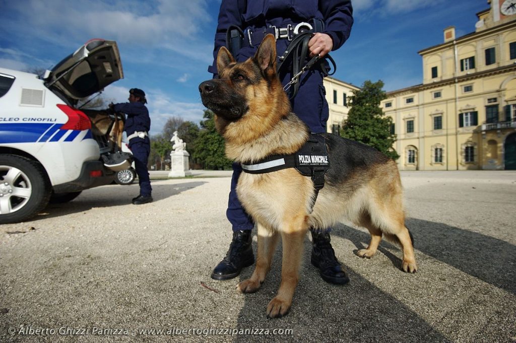 Benevento cane antidroga