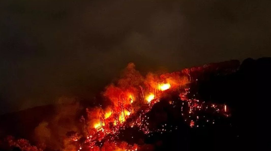 vasto incendio area boschiva ischia casamicciola terme