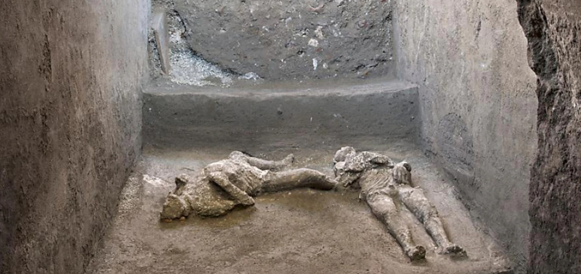 sequenziato DNA residente pompei morto eruzione vesuvio