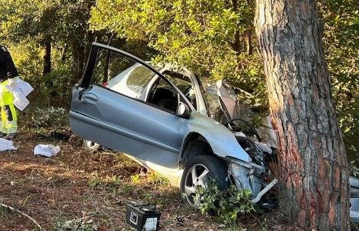 albanella auto contro albero