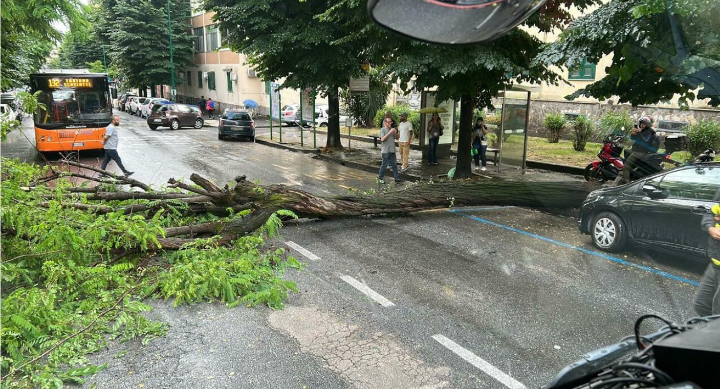 maltempo napoli albero crollato vomero