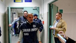 napoli formiche ospedale assolti