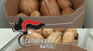 napoli droga frutta arresti 11 luglio