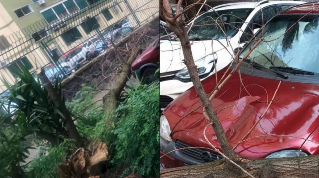 albero crolla auto napoli 28 luglio