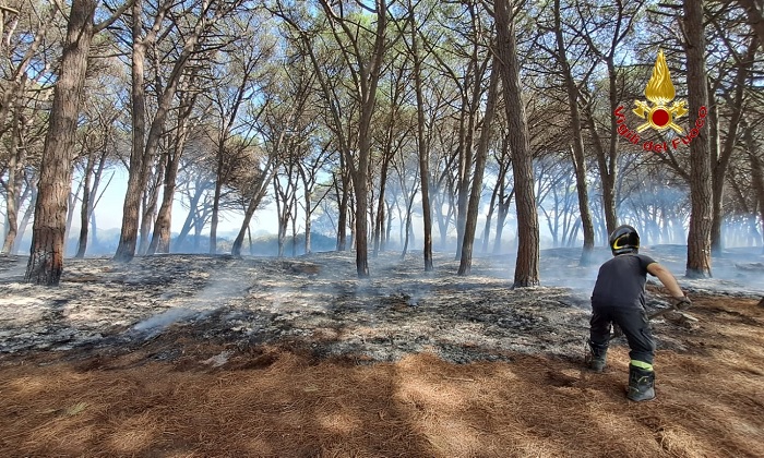 incendio pineta baia domizia