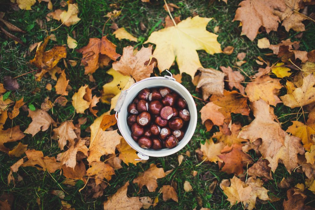 castagne