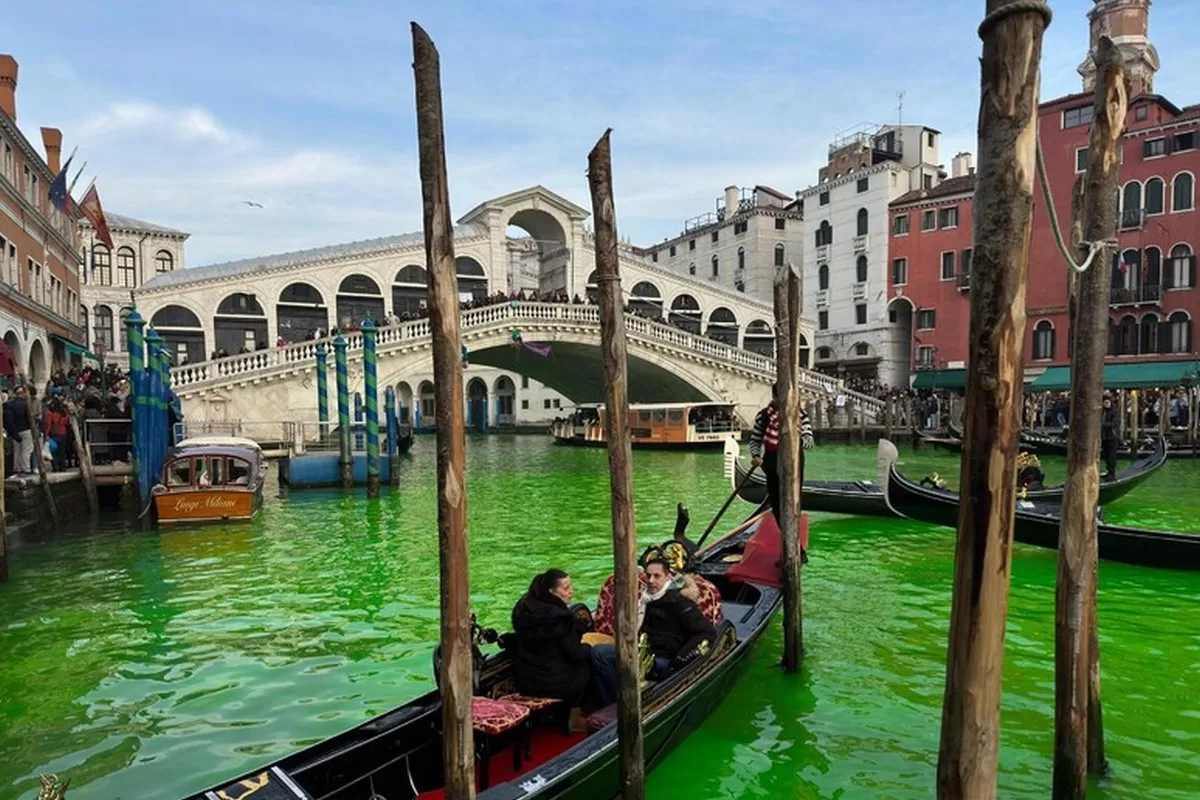 venezia attivisti canal grande colorato verde