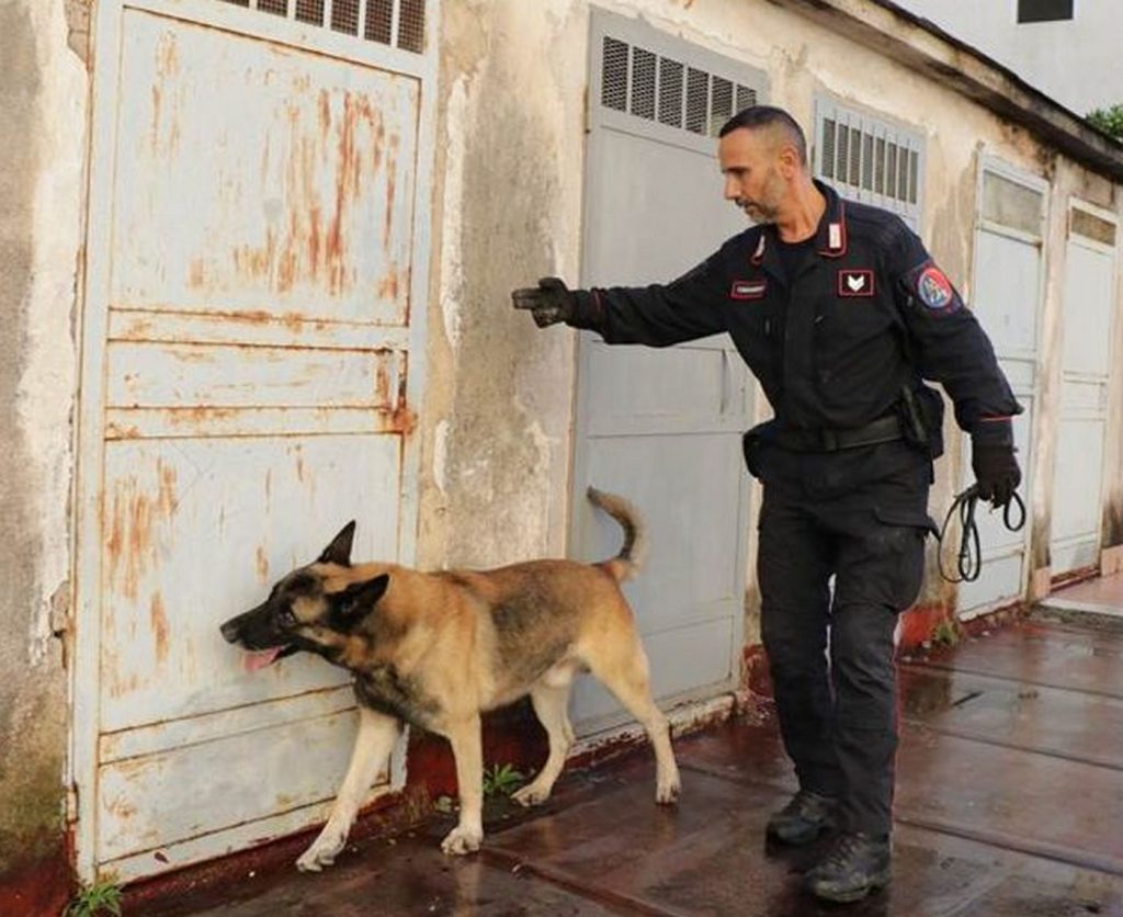 sant-arpino-spacciatore-domiciliari-incastrato-cane-luna