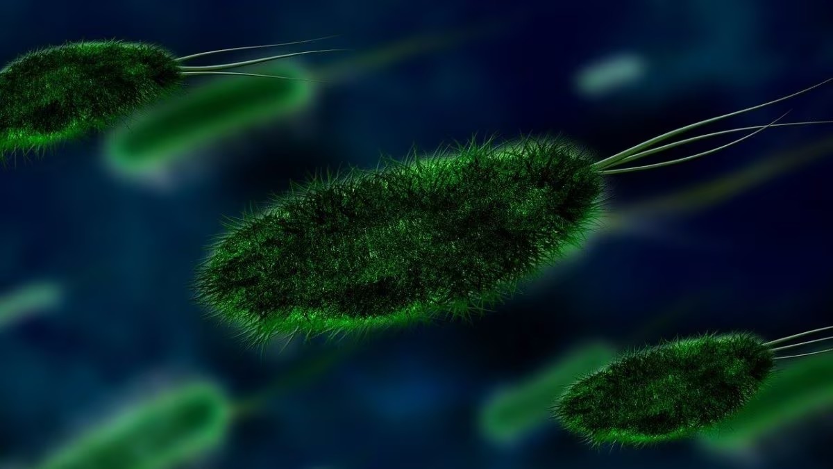 cos-e-malattia-x-nuovo-virus-oms-20-morti-covid