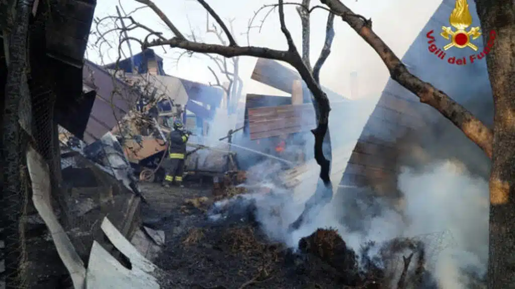 incendio-venticano-azienda-agricola-distrutta