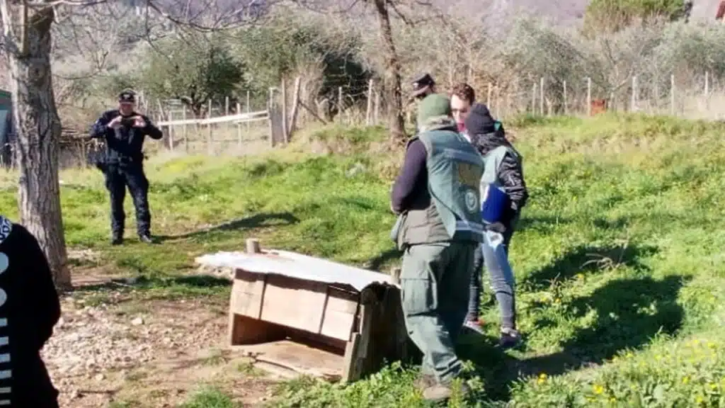 Bracconaggio controlli Oliveto Citra Campagna Montecorvino