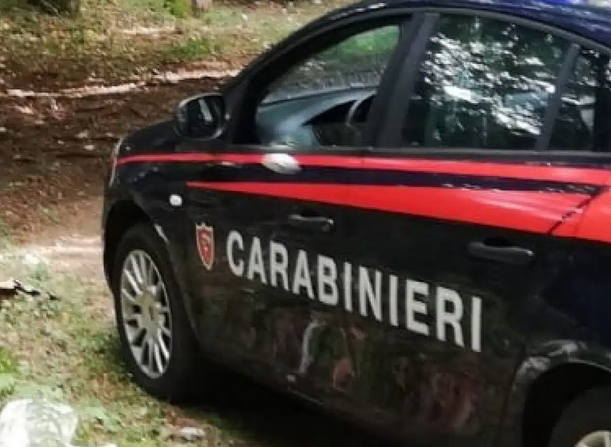 fauna sicura controlli vesuvio denunce sanzioni