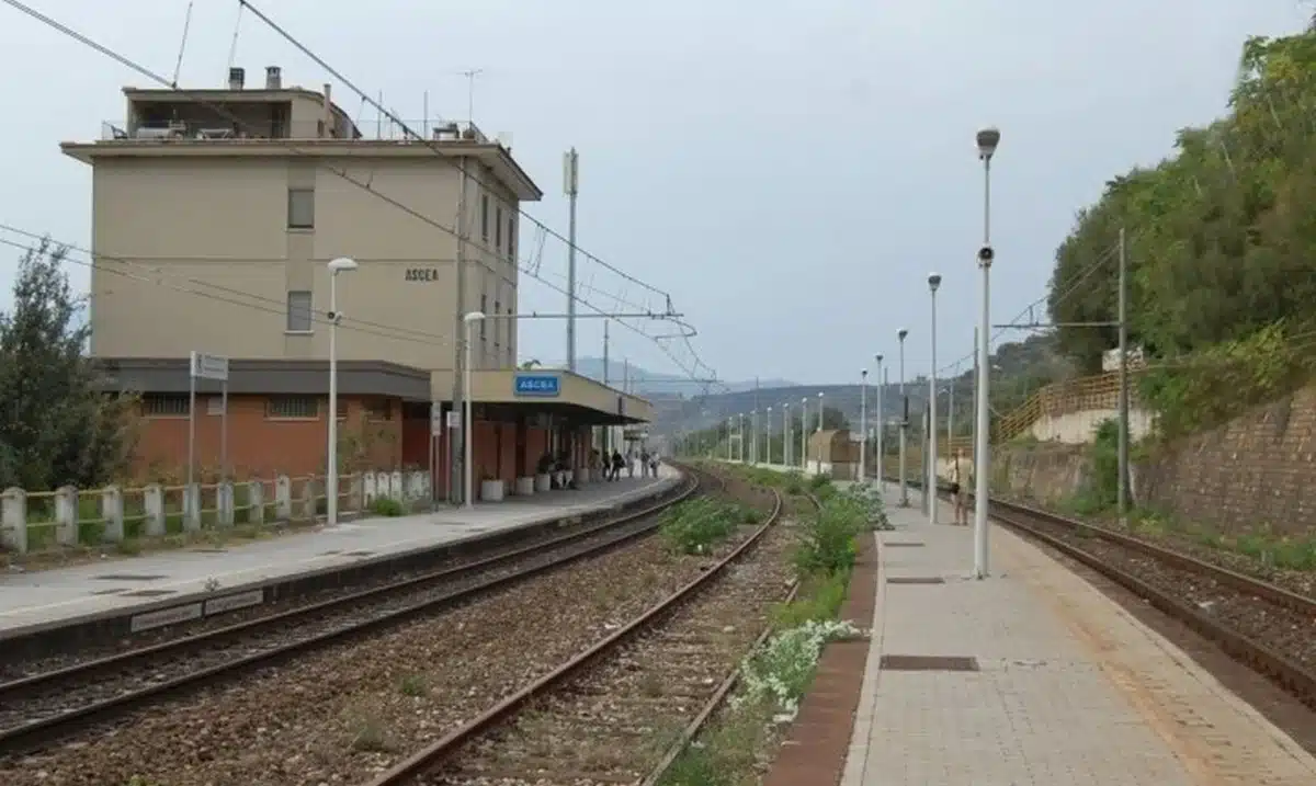 treno investe animale ascea