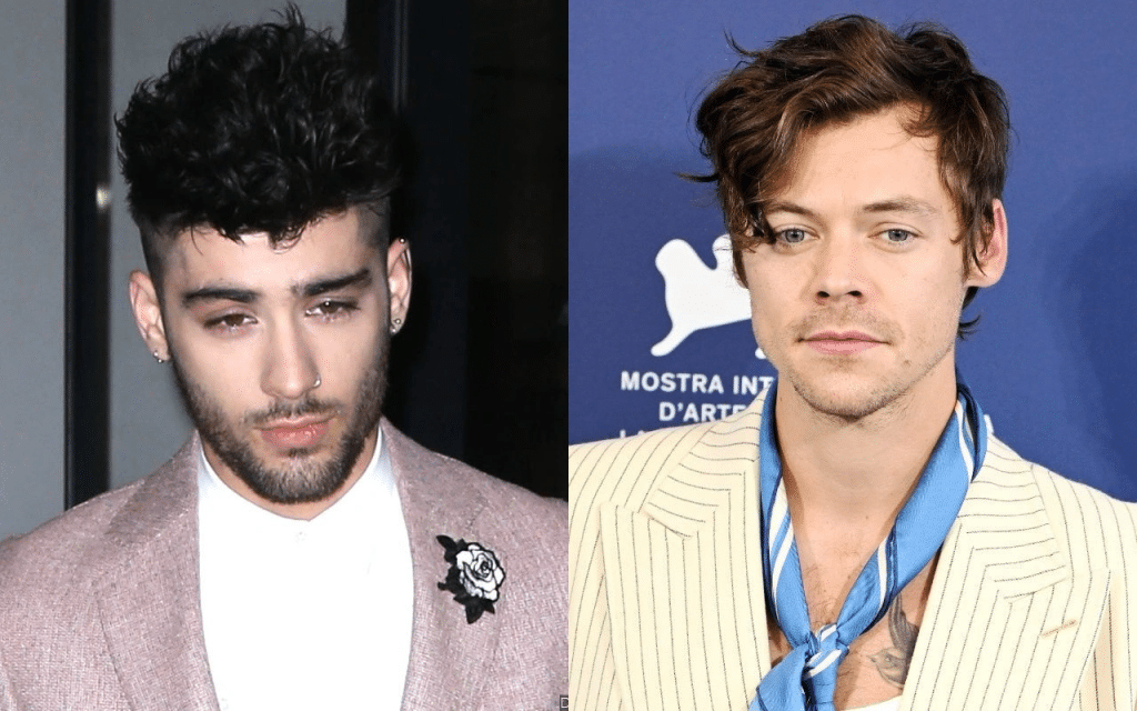 Zayn Malik ricorda salvato Harry Styles durante concerto